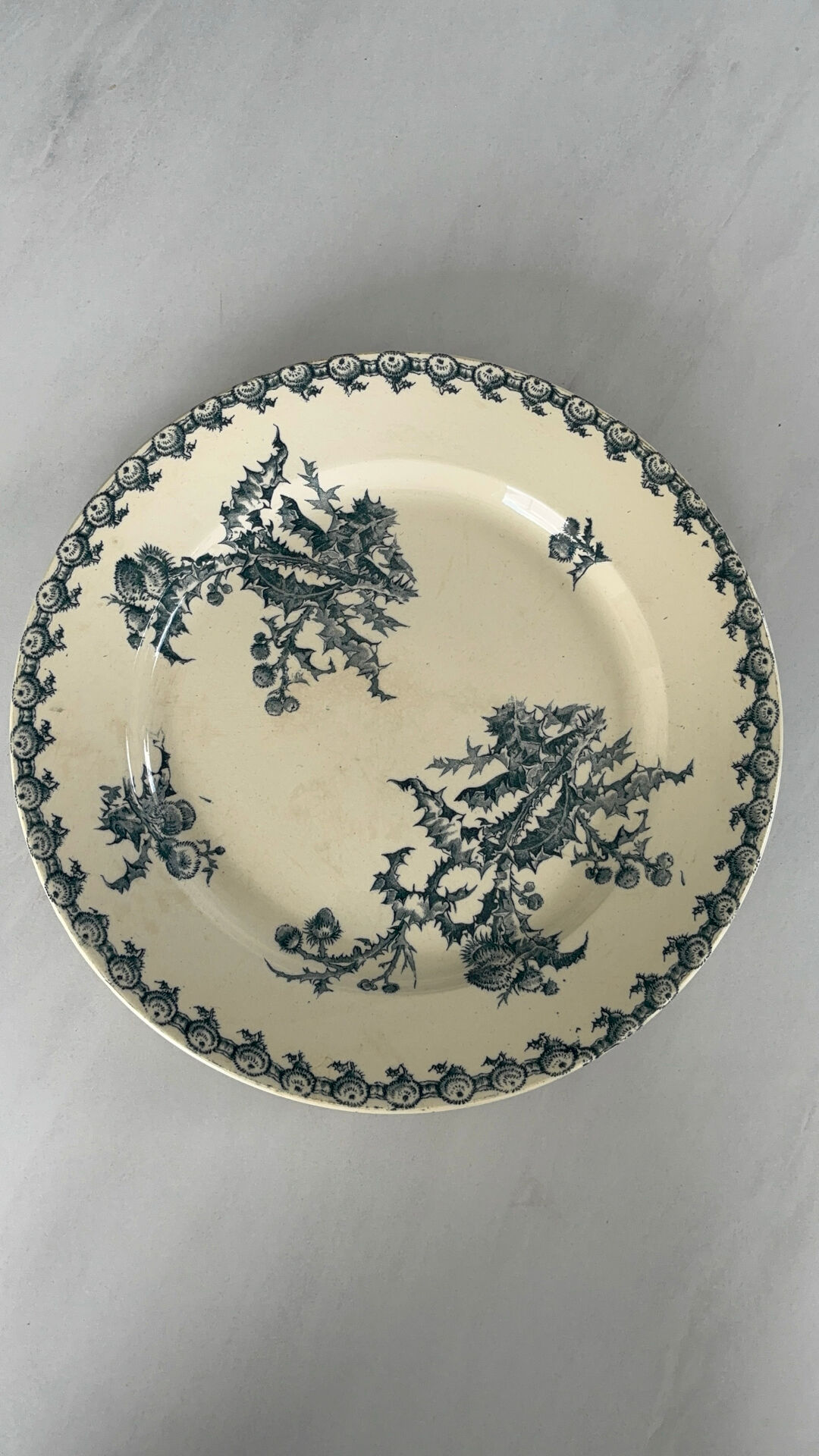 Old round ironstone plate from Gien, Chardons model - serving plate.