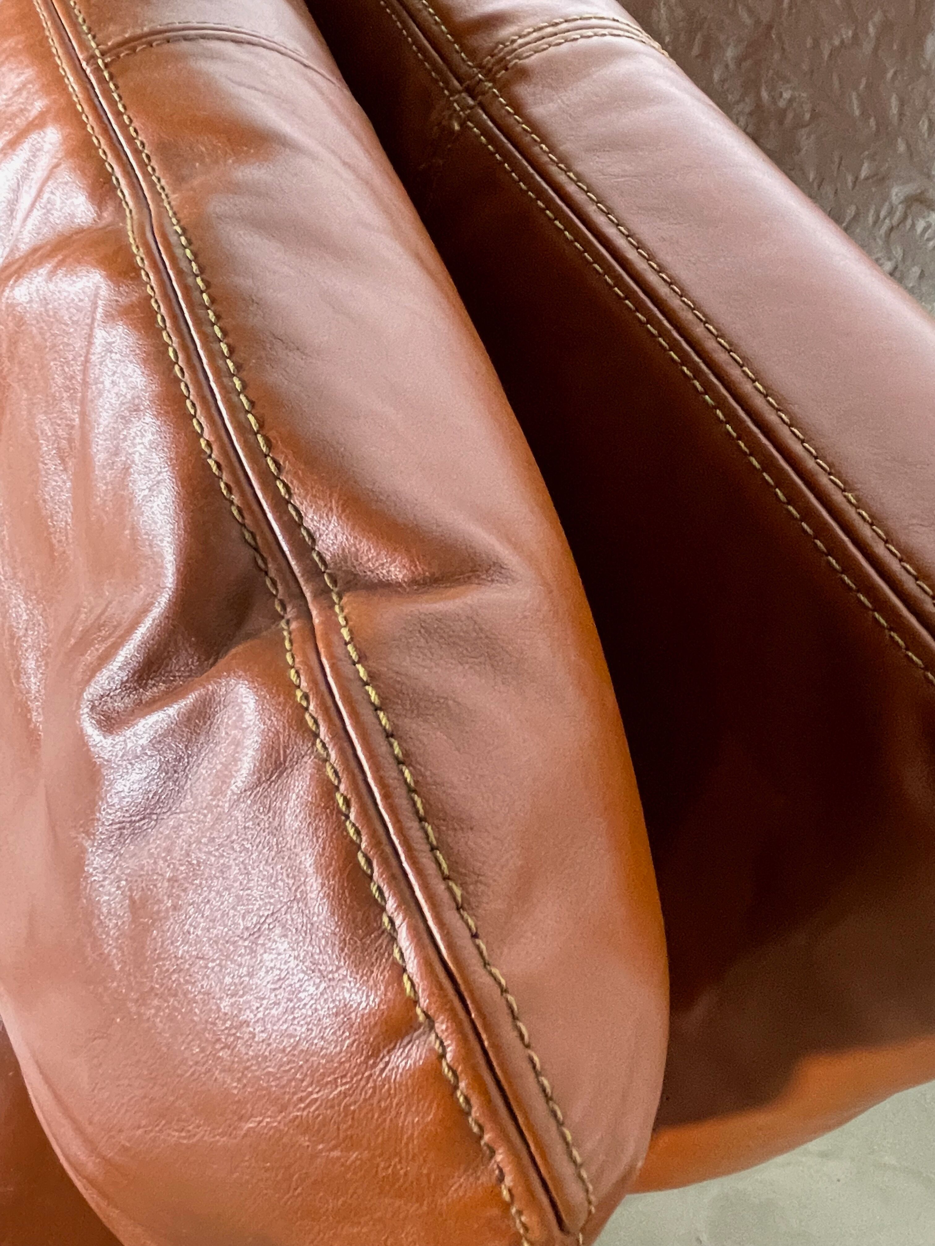 Sofa "Bengodi" by Cini Boeri for Arflex, Italy 1960's