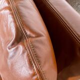 Sofa "Bengodi" by Cini Boeri for Arflex, Italy 1960's