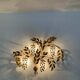 Large Hollywood Regency Palm Leaf Wall Lamp by Hans Kögl