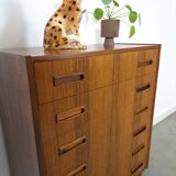 Mid-Century Deens Westergaards, Silkeborg palissander ladekast 6 lades