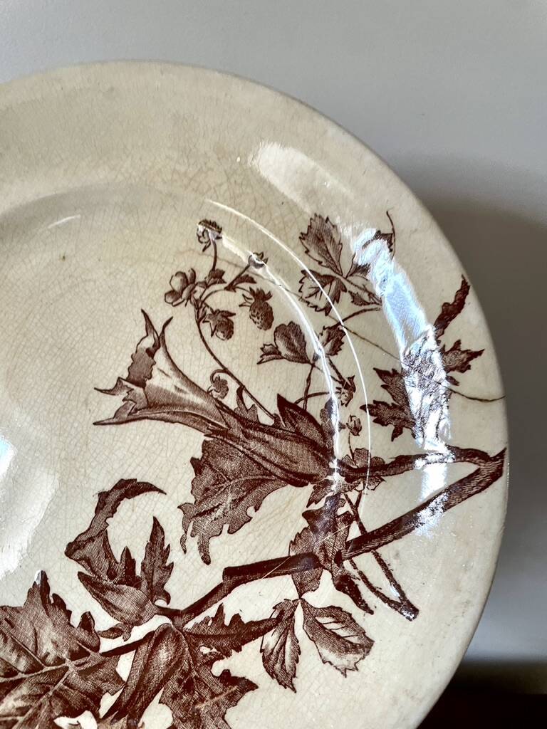 Set of 10 sepia plates, Terre de Fer flower pattern, 1900
