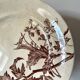 Set of 10 sepia plates, Terre de Fer flower pattern, 1900