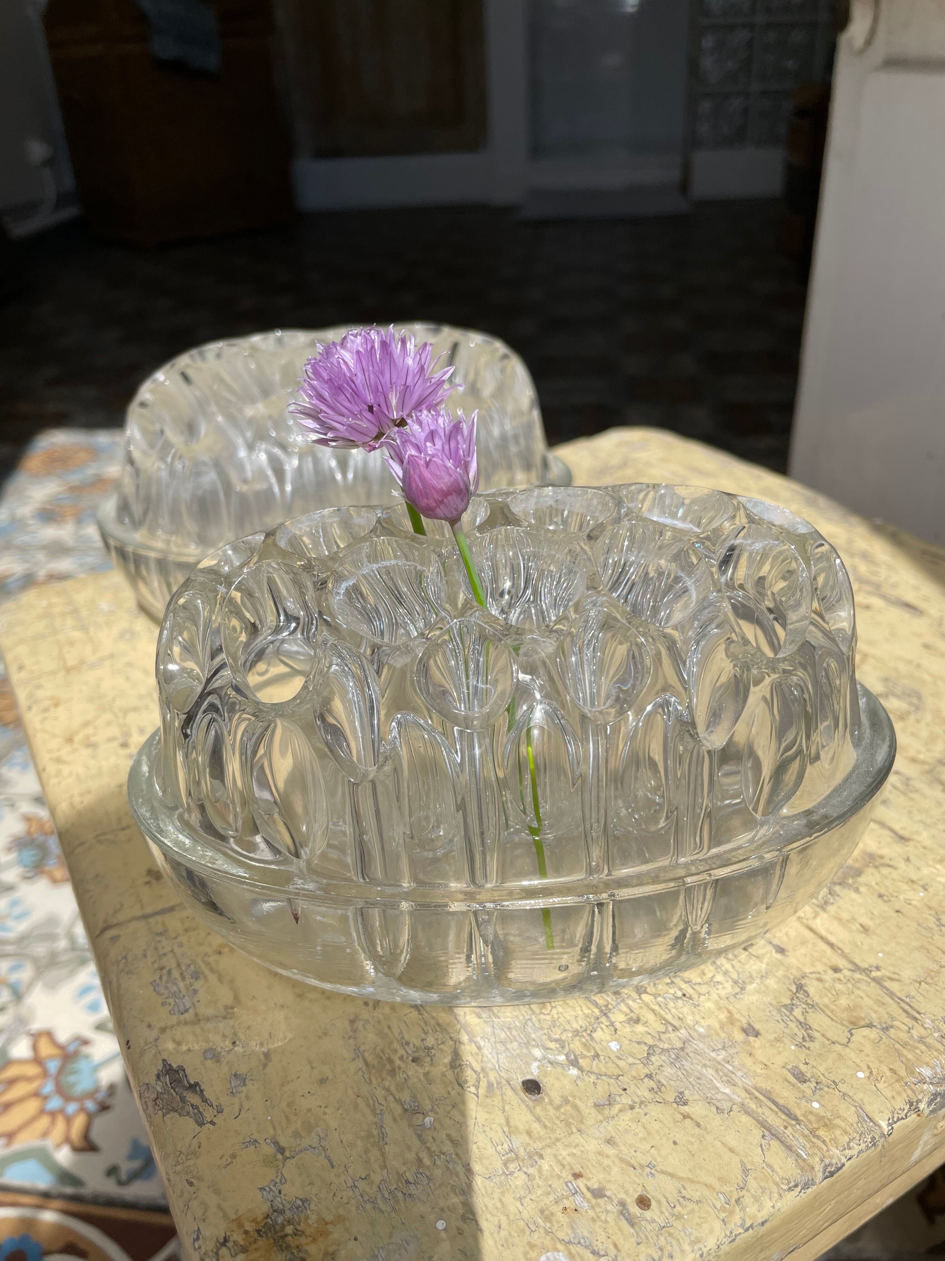 Duo of picnic flowers