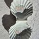 Paire de coquilles Saint-Jacques en porcelaine solognote – Coupelles