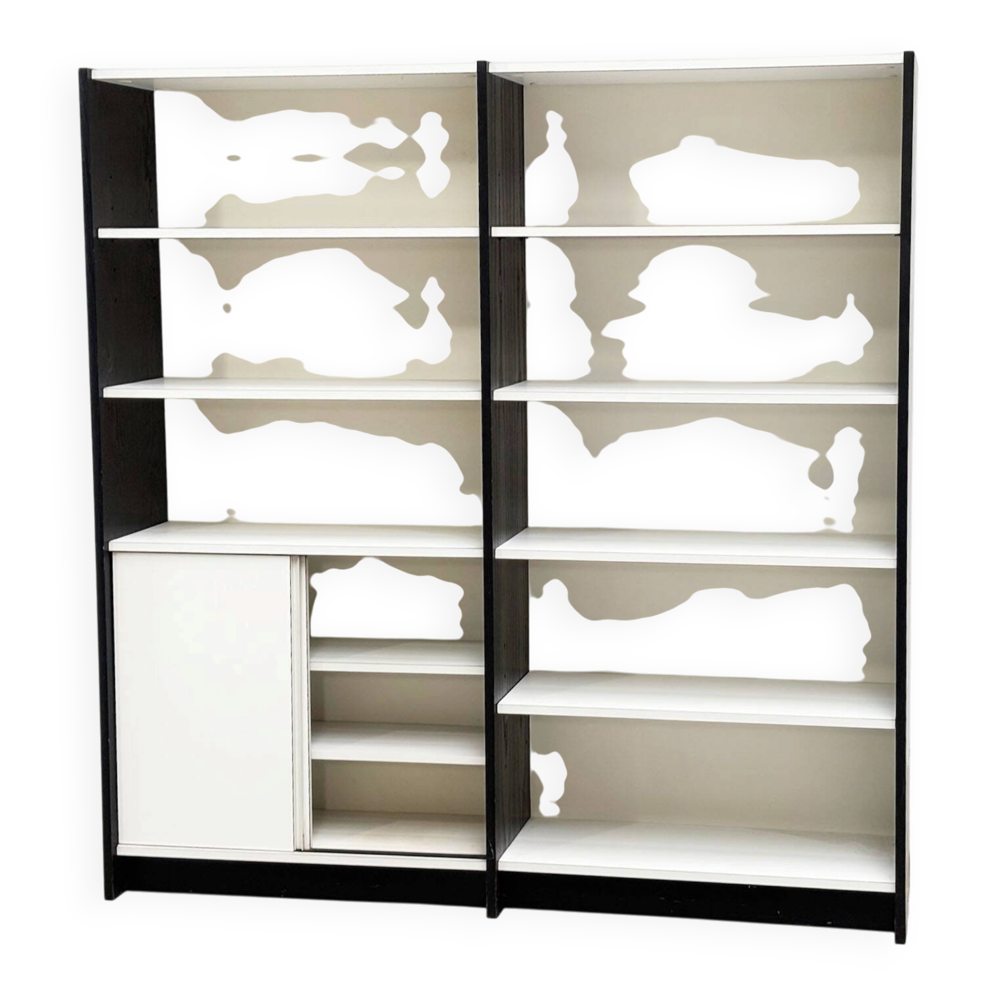 Martin Visser WW72 bookcase for 't Spectrum