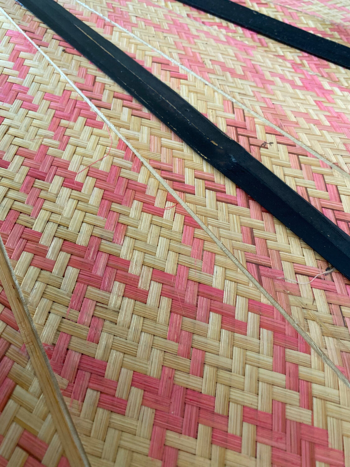 Bamboo and old cane fan (Chinese art)