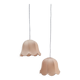 Pair of flower suspension