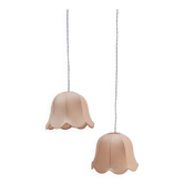 Pair of flower suspension