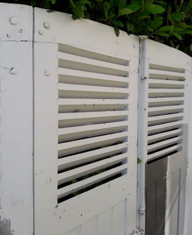 Curved shutters oak and fir H156xL245