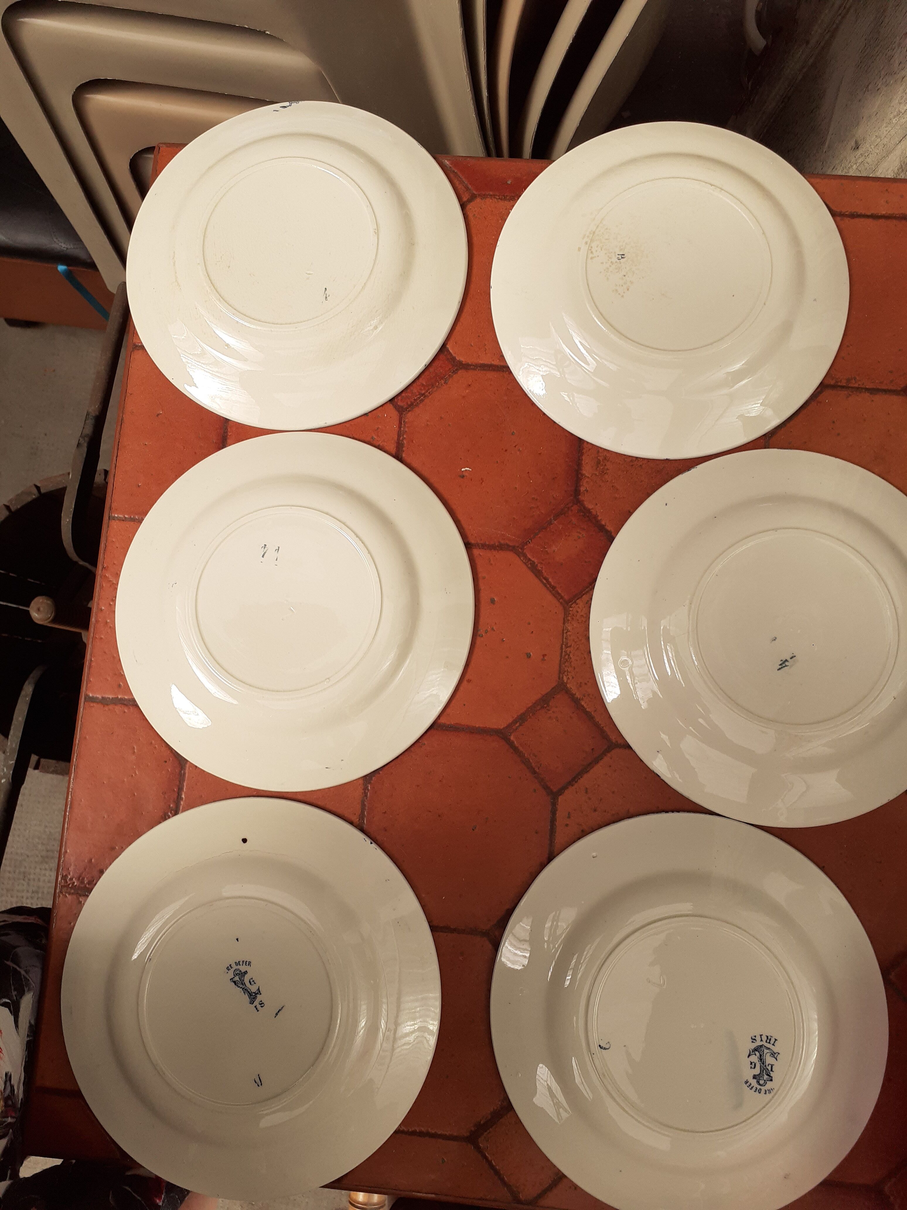 6 plates with dessert iris Clairefontaire