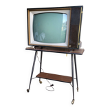 Vintage television & its furniture