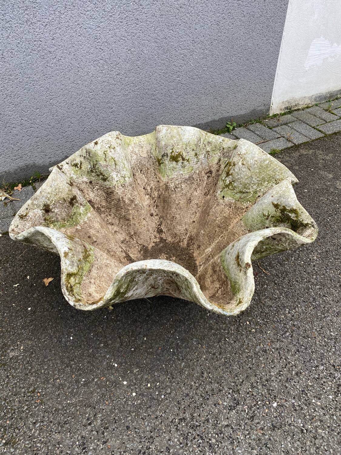 Biomorphic planter by Willy Guhl, 1960