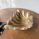 Immense wooden plate 1900 shell with golden patina