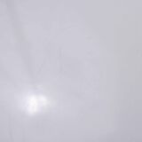 Table feet tulip Lübke