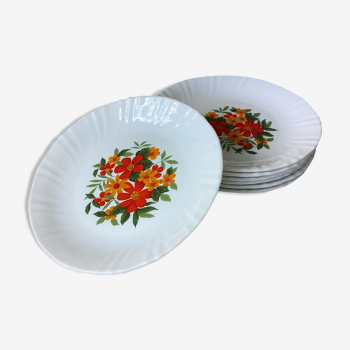 Arcopal plates, floral decoration