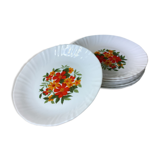 Arcopal plates, floral decoration