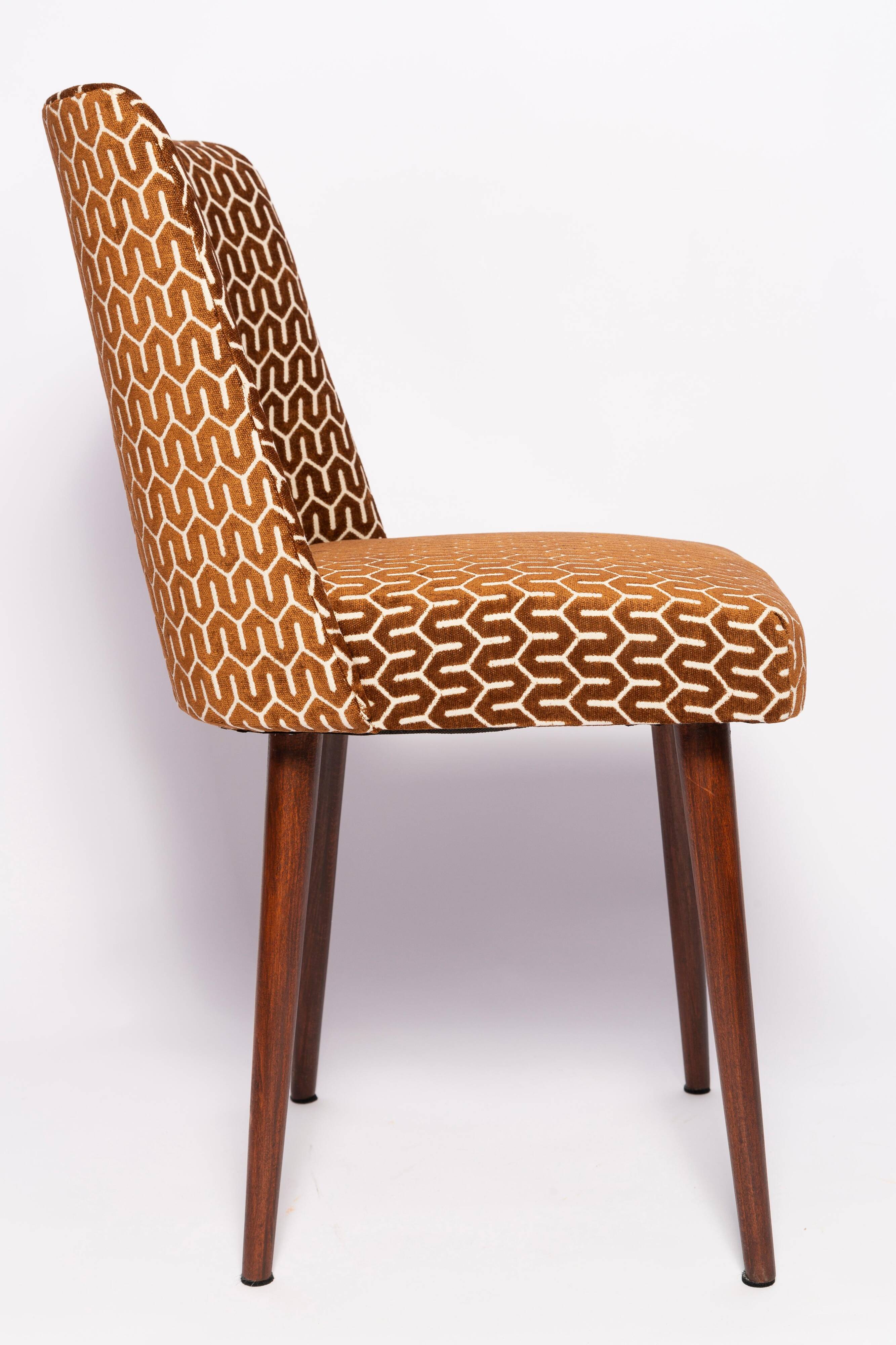 'Shell' chair chocolate mid-century, Europe, 1960s