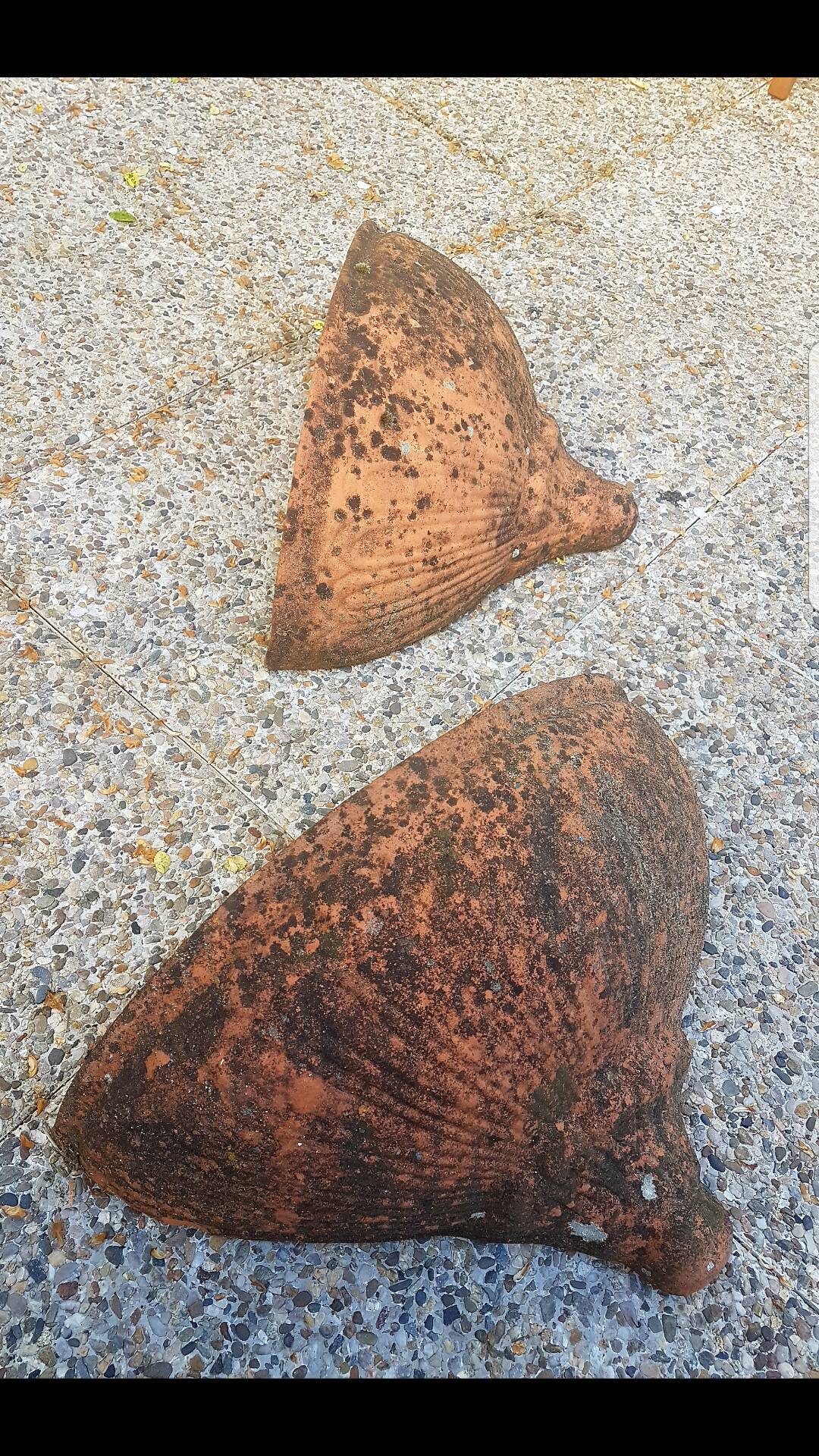 Pair of planter wall half moon