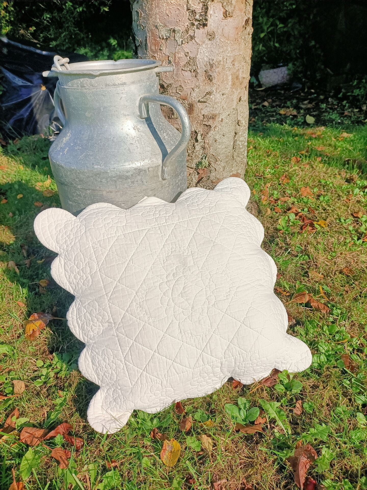 Retro Provence cushion