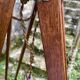 lampadaire