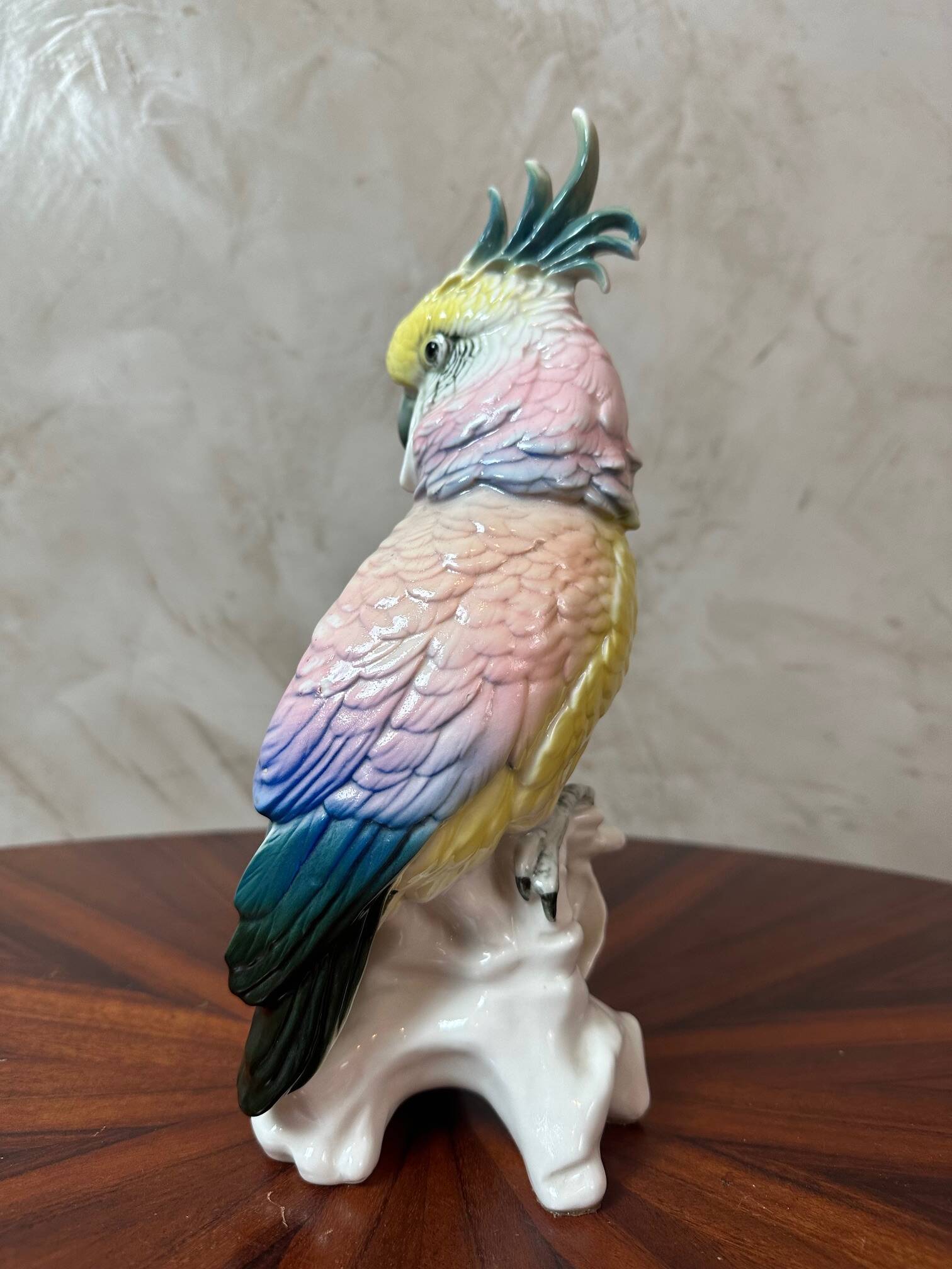 Saxony porcelain parrot