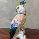 Saxony porcelain parrot