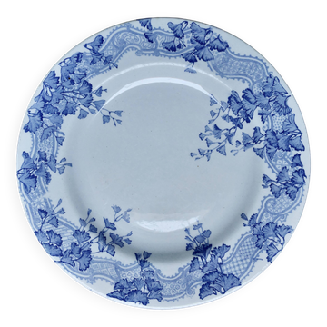 Ironware plate