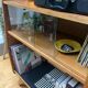 Vintage Furniture