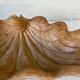 Coupe bénitier ancienne en bois sculpté