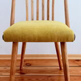 Set of chairs designed by A. Suman, Czechoslovakia, the 60s