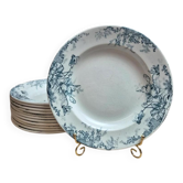 Set of 12 plates Terre de Fer Clairefontaine Cyclamens
