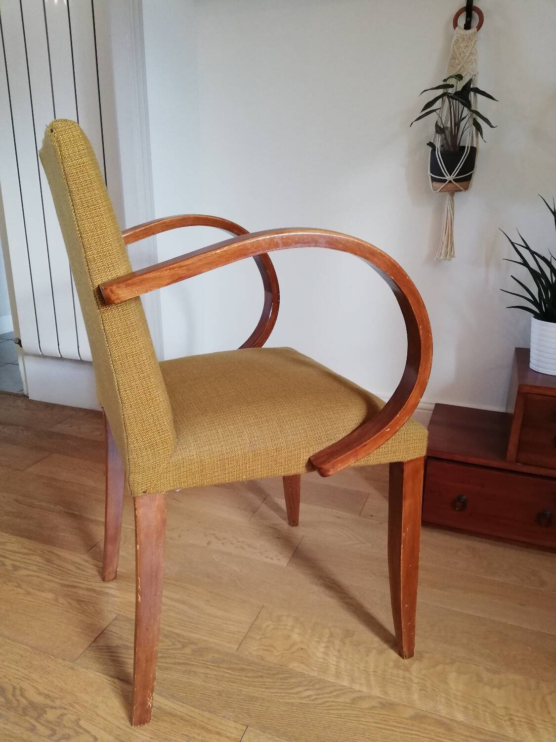 Bridge armchair with mustache back