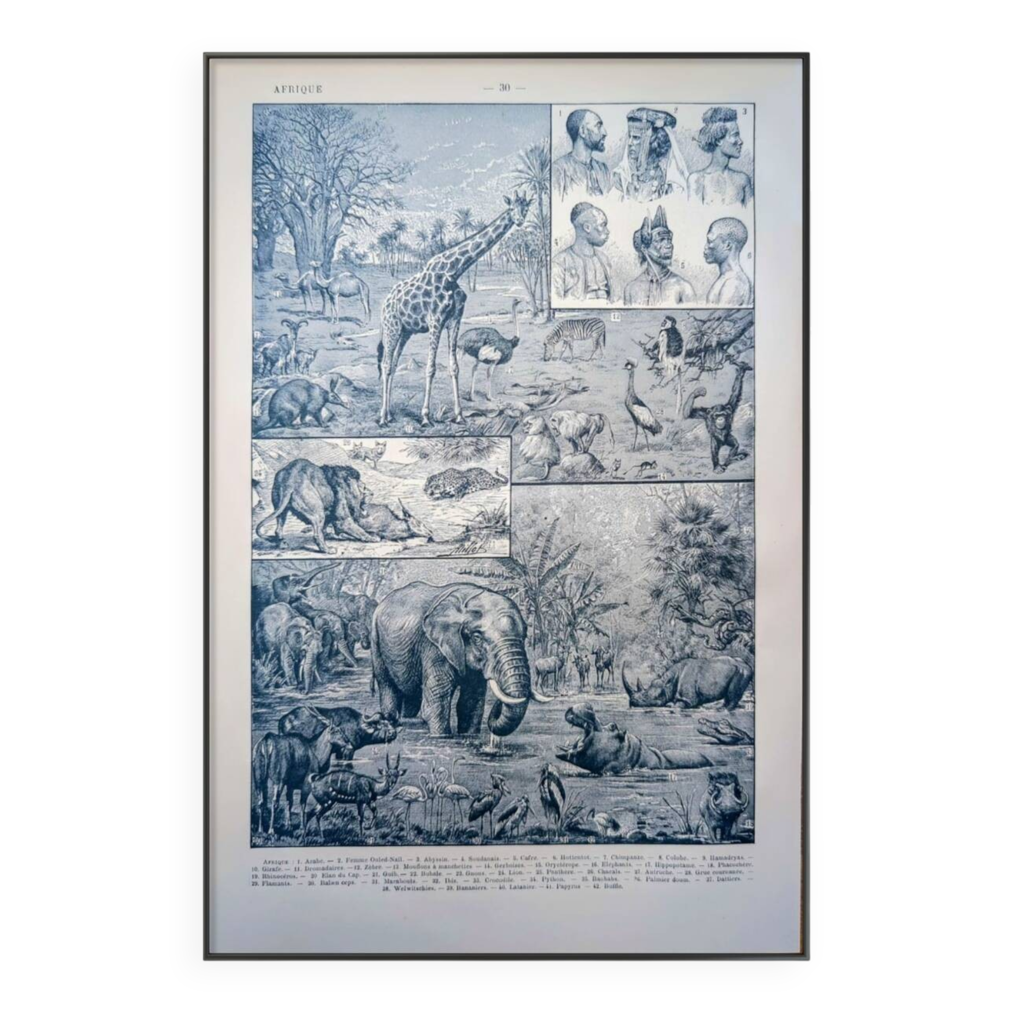 Printed in 1921, engravings of Africa.