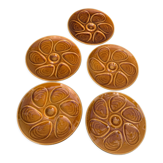 5 plates of Salins oysters France in glazed ceramic vintage ochre slip