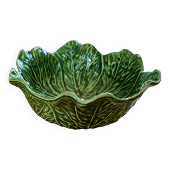 Cabbage slip salad bowl dish