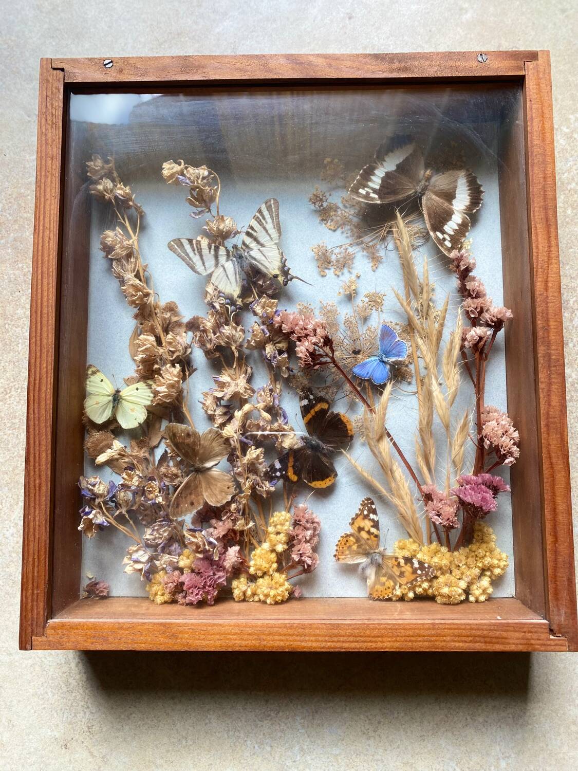 Vintage frame with butterflies and dried flowers