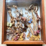 Vintage frame with butterflies and dried flowers