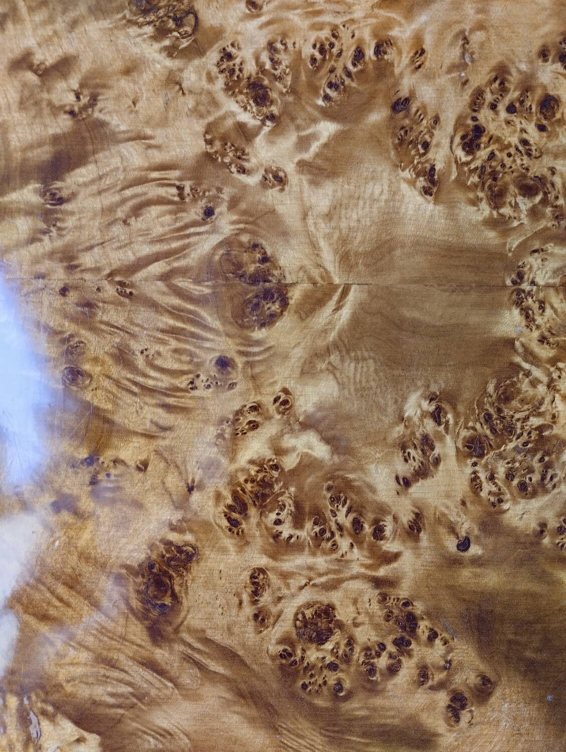 Rizzo style coffee table