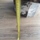 Table basse en pierre fossile Marbre