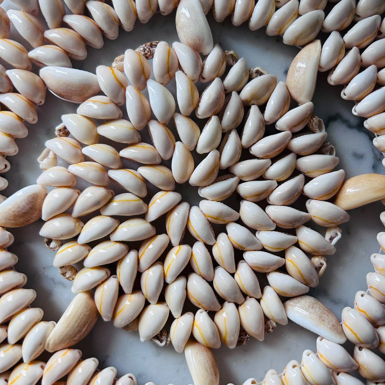Trivet made of seashells