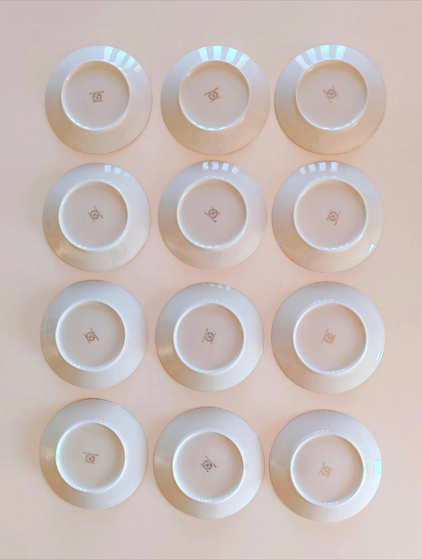 Set of 12 Limoges LP bee plates