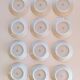 Set of 12 Limoges LP bee plates