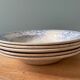 Set of 5 hollow plates 1900 U & C Sarreguemines model Planter