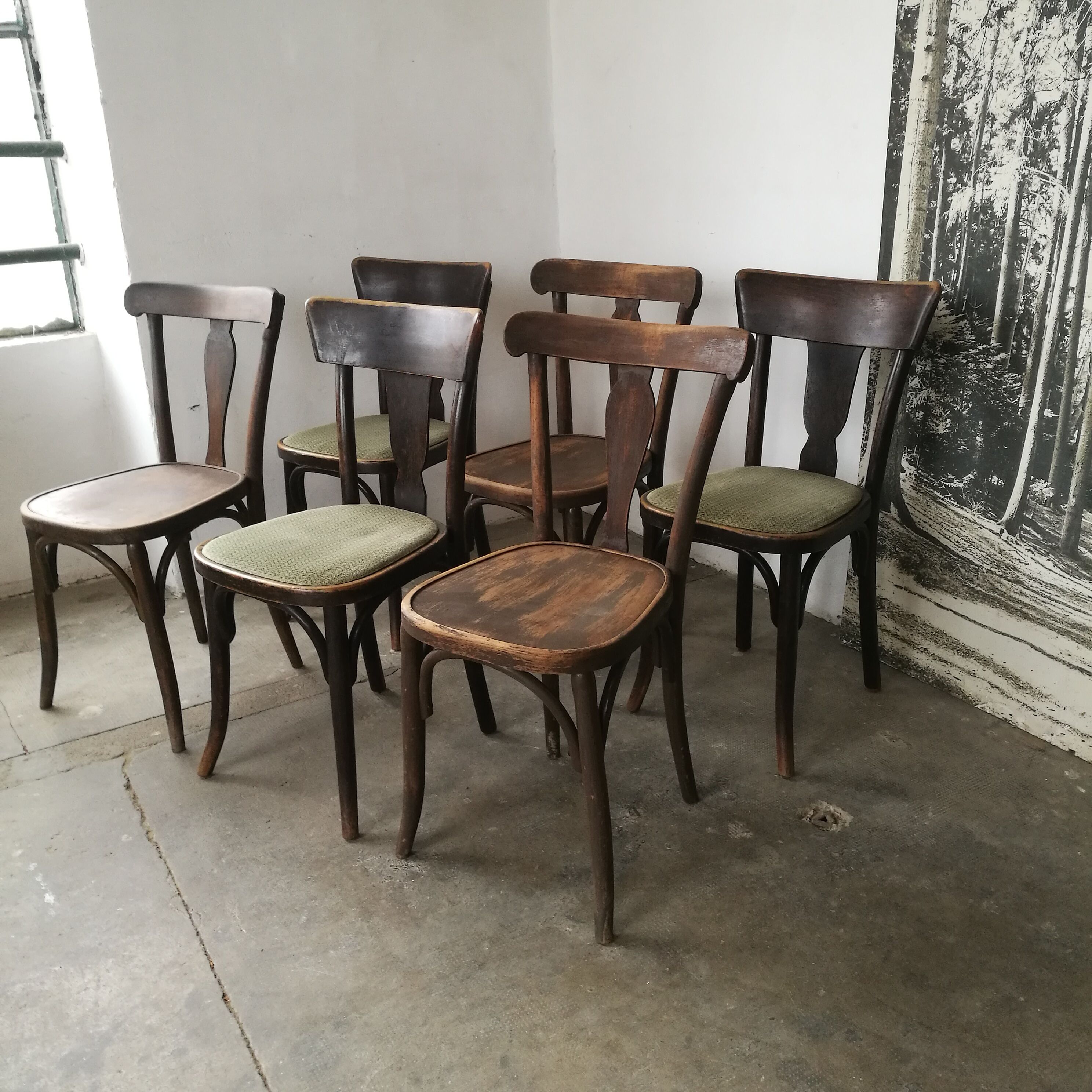 Set de 6 chaises bistrot Thonet