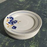 8 flat plates Badonviller model "Tunis