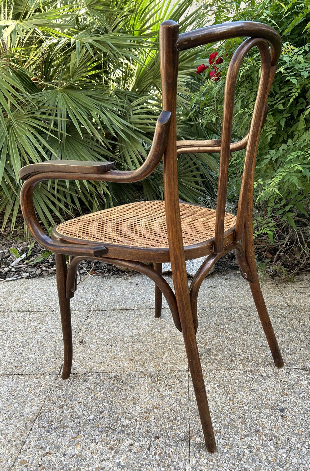 Baumann caned curved wooden armchair, 1900