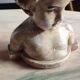 Bust