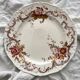 8 polychrome ironstone dinner plates "Wentworth" by Emile Bourgeois