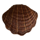 Empty corrugated shell pocket in wicker basket makers